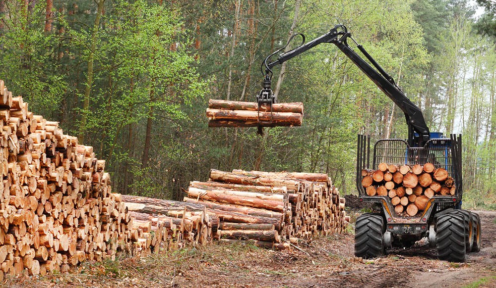 Ontbossing door hout voor biomassa