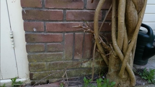 Beun de beunhaas isoleert een woning en sluit gelijk de ventilatie af