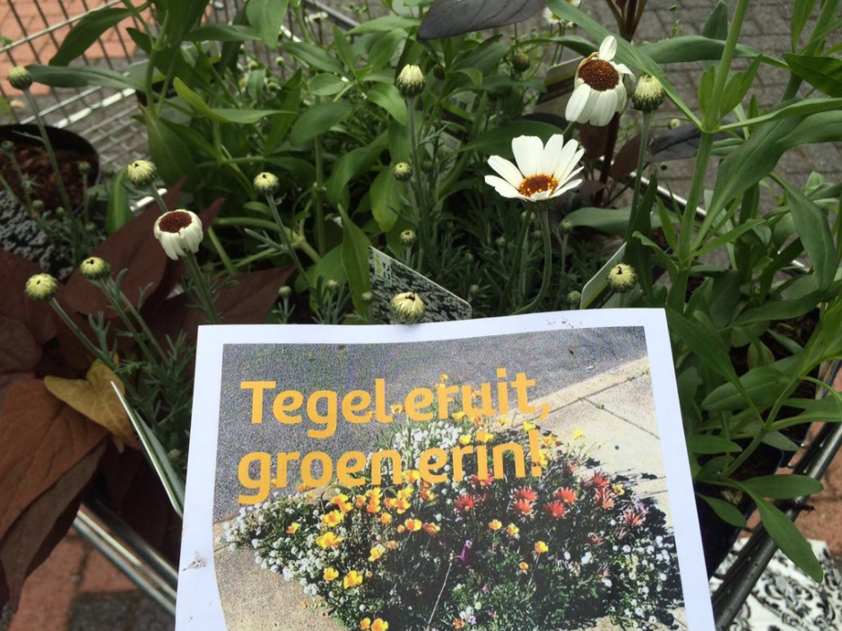 @Duifstraat: “10 stoeptegels ingeleverd voor 20 gratis plantjes | mooi begin #leefstraat | bedankt @intratuin”