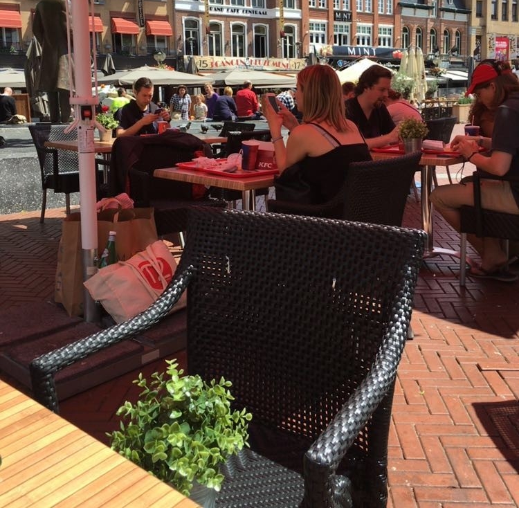 Terras vol met pokémon trainers