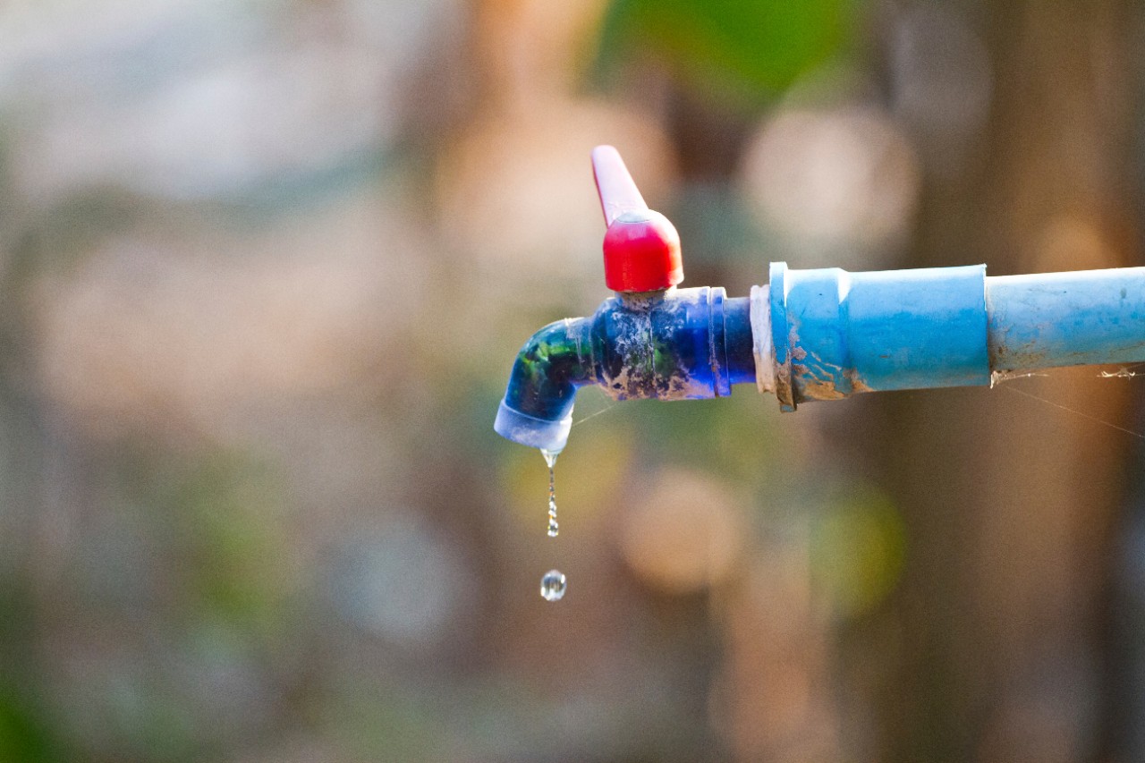 Opgevangen regenwater kunt u gebruiken in de tuin, om de auto te wassen en zelf voor toilet en wasmachine.