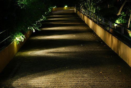 Routeverlichting op een tuinpad.