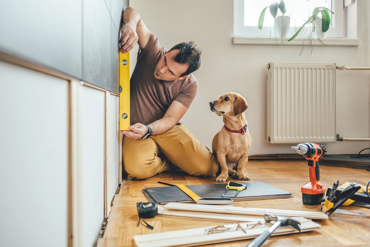 Man en hond klussen in hun huis